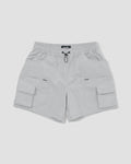 Field Shorts - Silver